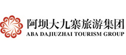 成都网络公司